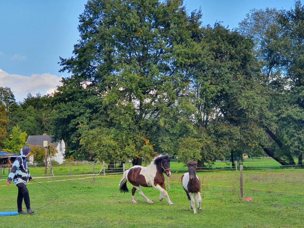 Ferienwohnung Kunz Burg  Zewnętrze zdjęcie